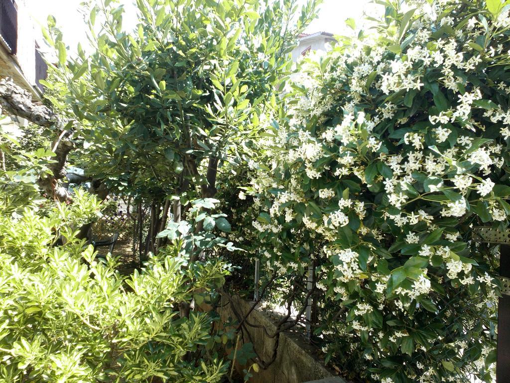 B&B A Casa Di Nonna Fondi Εξωτερικό φωτογραφία