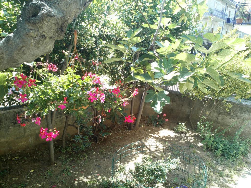 B&B A Casa Di Nonna Fondi Εξωτερικό φωτογραφία
