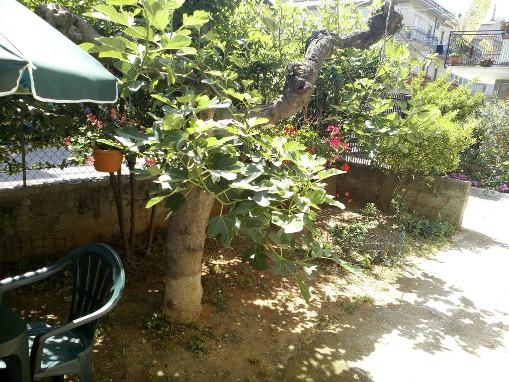 B&B A Casa Di Nonna Fondi Εξωτερικό φωτογραφία