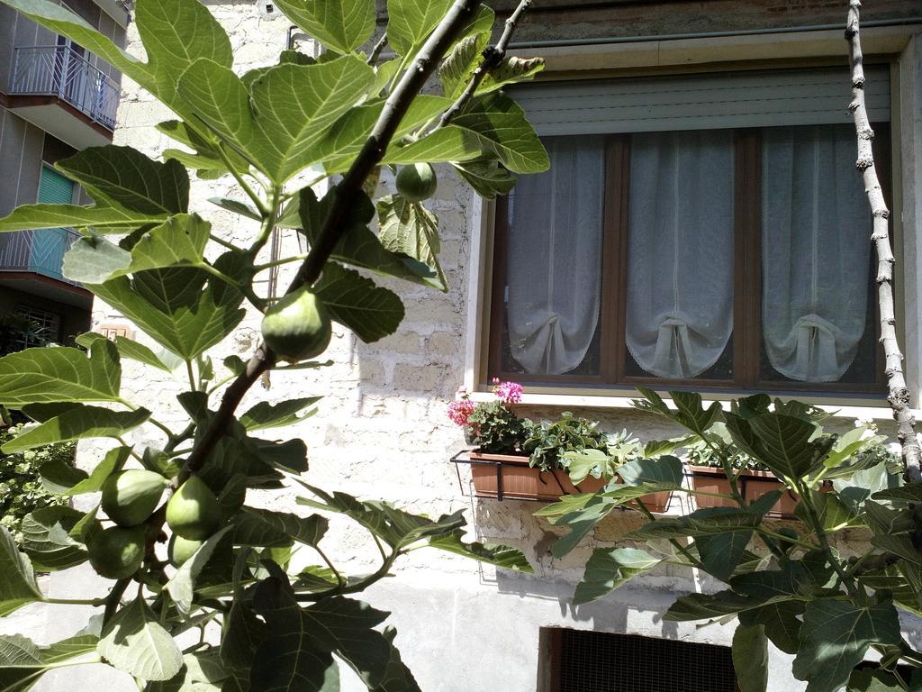 B&B A Casa Di Nonna Fondi Εξωτερικό φωτογραφία